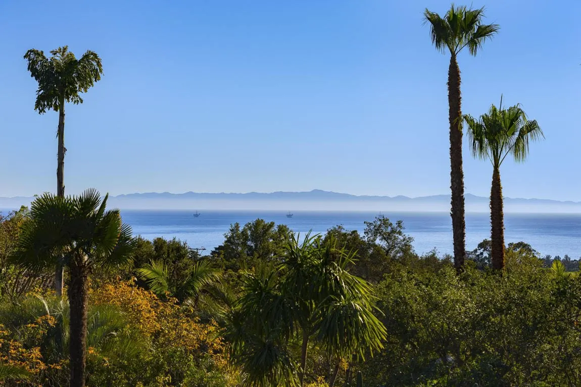 Palm trees framing an ocean view at a Toro Canyon home